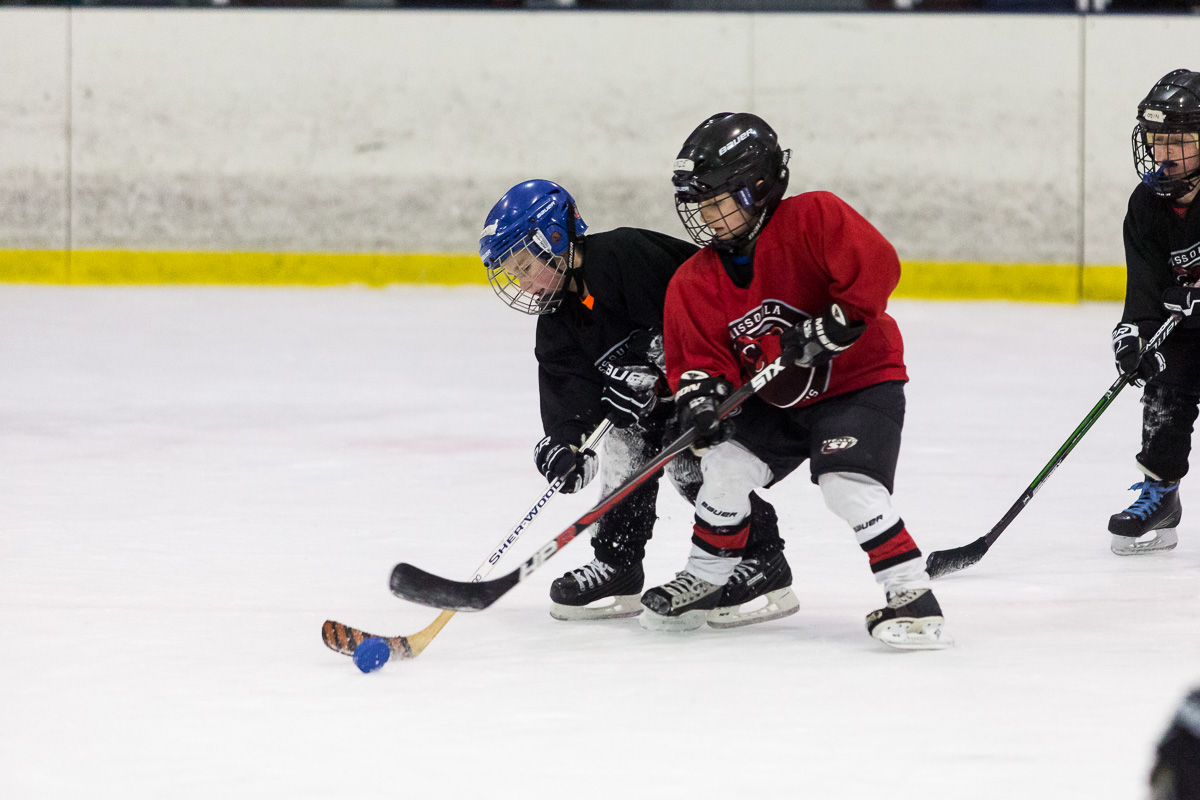 Nhl Spiel Nhl Spiel