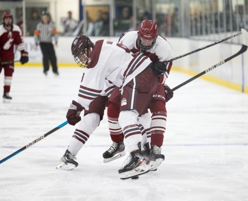 Two hockey players battle for the puck