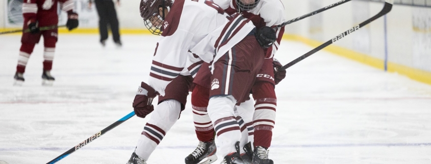 Two hockey players battle for the puck
