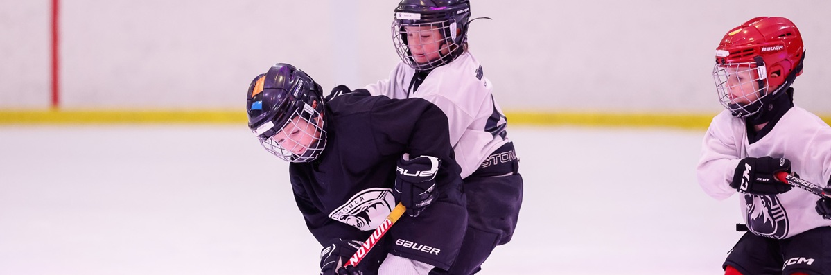 Mite players 1200 x 400